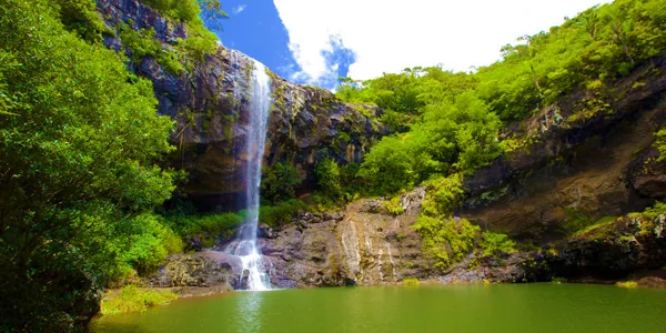 Waterfall dropping into a natural pool in the forest