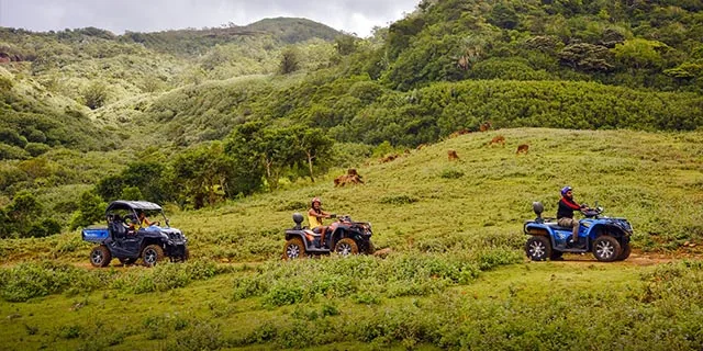 Quad bikes parked on a grassy mountain trail