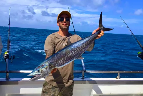 Open sea boat excursion in Mauritius