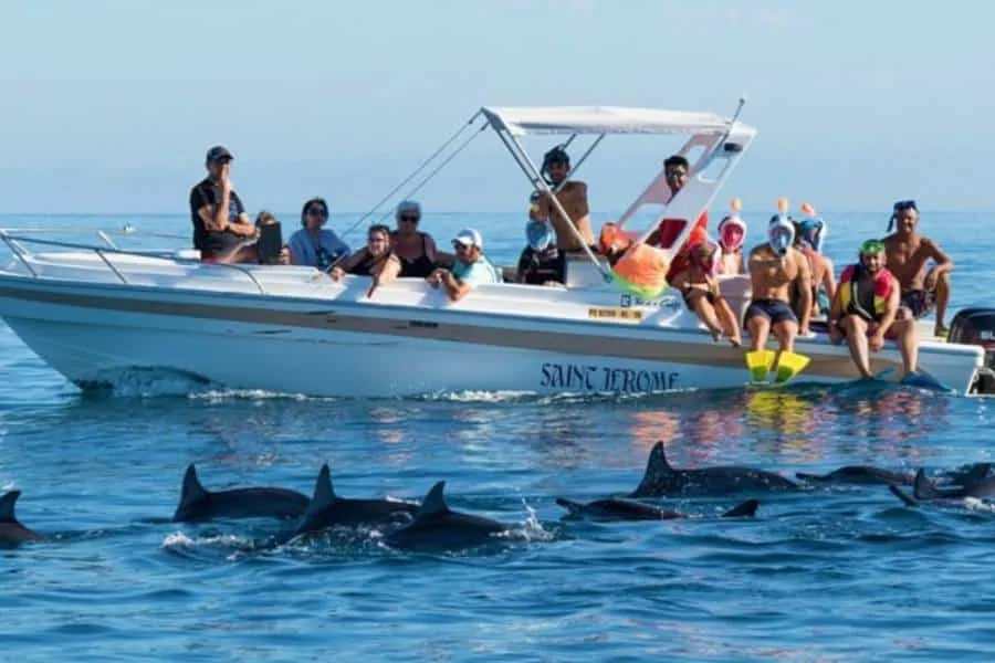 Dolphin watching boat with dolphins surfacing beside it