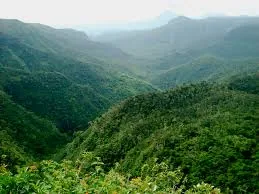 Green mountain valley landscape