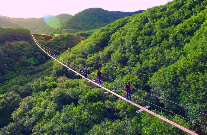 Long suspension bridge stretching across a lush valley