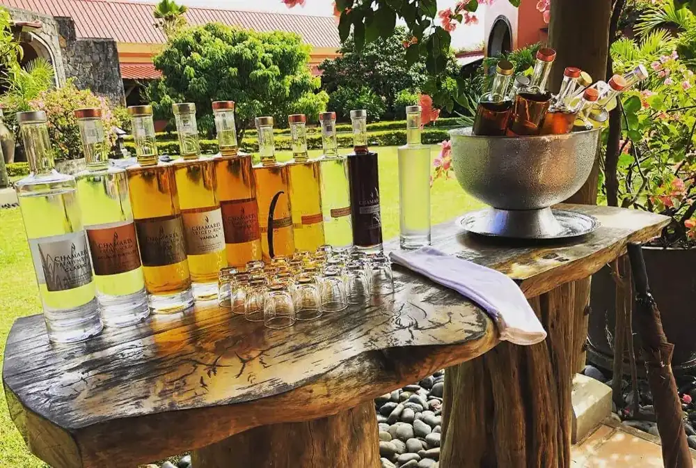 Rum tasting setup with bottles and glasses on a table