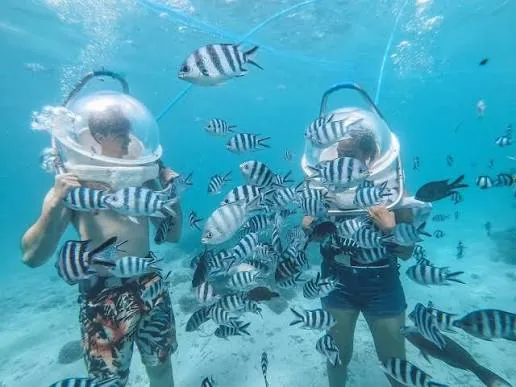 Undersea walkers surrounded by tropical fish