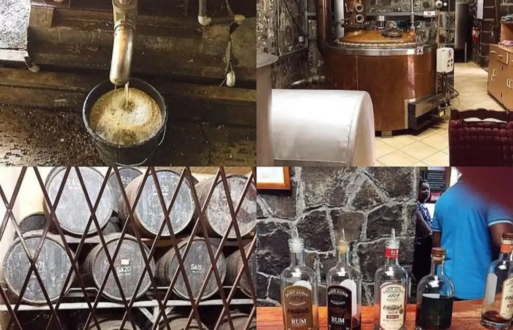 Rum distillery interior with barrels bottles and tasting area