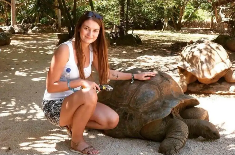 Giant tortoise attraction in southern Mauritius