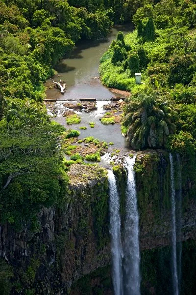 Aerial view of Tamarind Falls and surrounding forest
