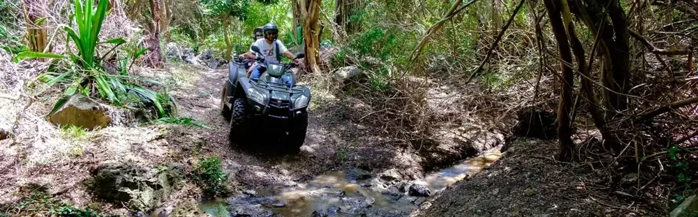 Off-road vehicle driving through a forest trail